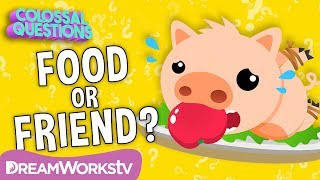 Why Do We Eat PIGS, but Not CATS? | COLOSSAL QUESTIONS