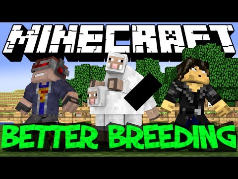 Breeding Cats Minecraft