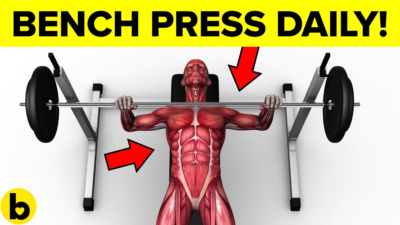 10 Great Bench Press Benefits And Muscles Worked How To