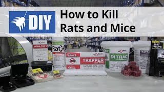 Rodent Control - How to Kill & Get Rid of Rats & Mice