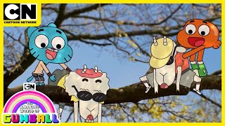 The Amazing World of Gumball | Gumball And The Poor Old Goats | Cartoon Network UK 