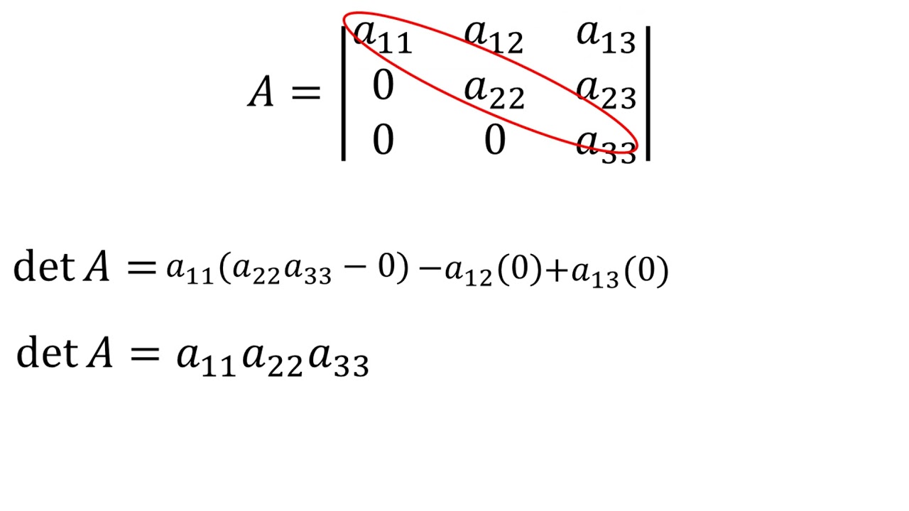 Calcular Determinante De Una Matriz Mediante Propiedades A | My XXX Hot ...