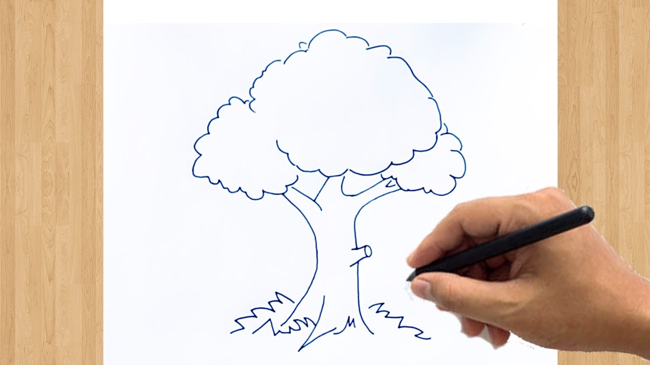 How to Draw a Tree Sketch Easy | The Best Tree Drawing Ever Drawn ...