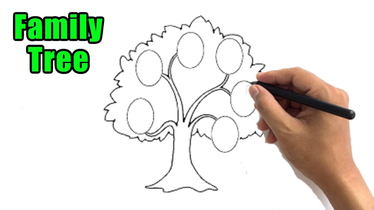 How to Draw a Family Tree Easy Outline Drawing Step by Step Sketch ...