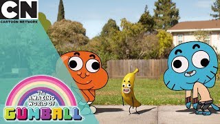 The Amazing World of Gumball | Gumball Hunts For Banana Barbara | Cartoon Network UK 