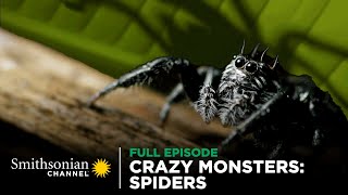 Crazy Monsters: Spiders  FULL EPISODE | Smithsonian Channel