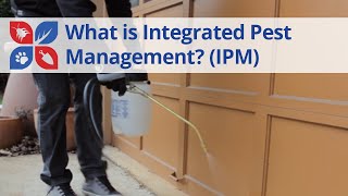 What is Integrated Pest Management? (IPM)