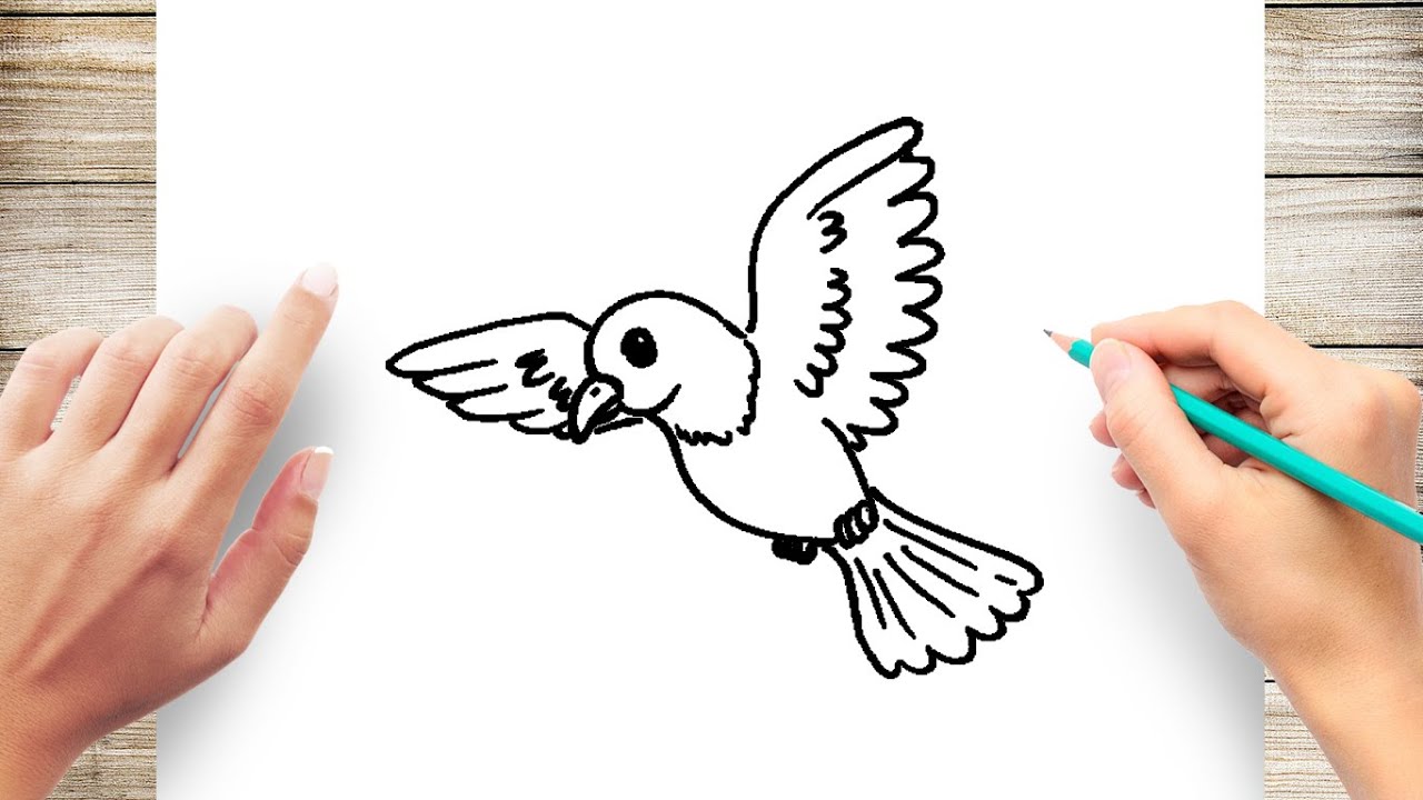 Bird Flying Drawing Easy ~ Flying Birds Drawing | Gradrisrad