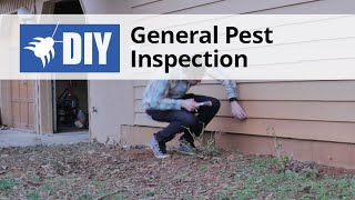 General Pest Inspection