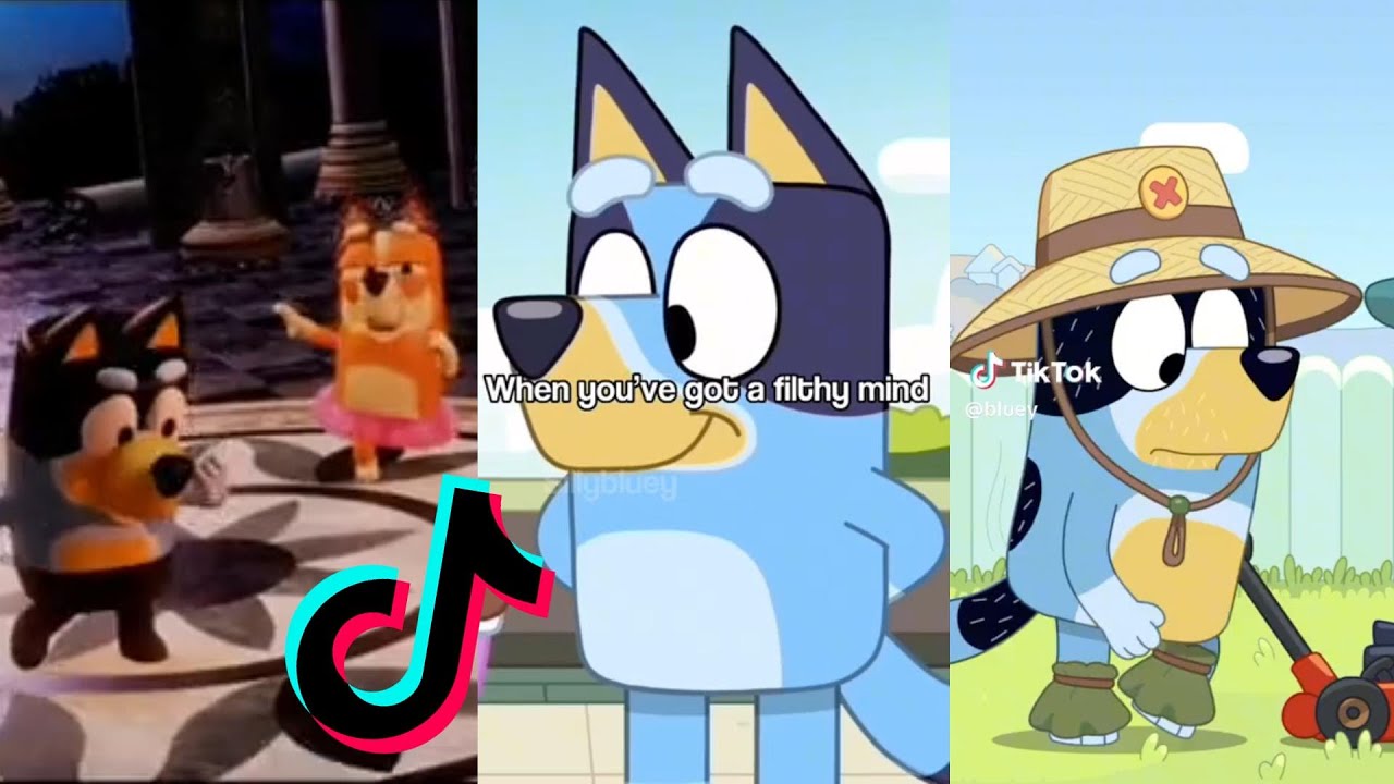 Meet the faces behind Bluey: Voice actors seen in viral TikTok videos ...