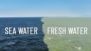 Fresh Water Meets Sea Water  Boundary Explained