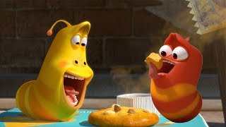 larva a cookie surprise cartoon movie cartoons for children larva cartoon larva official