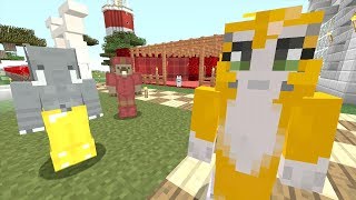 Minecraft Xbox - Beetroutique [561]