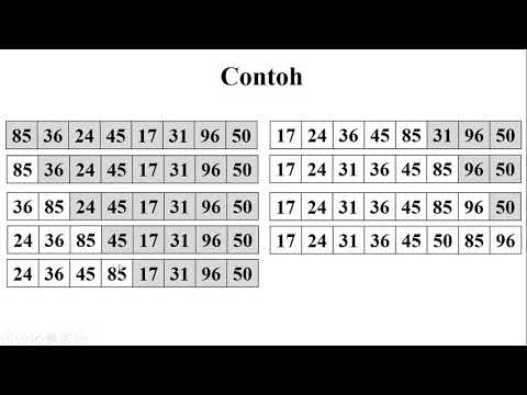 14 #Insertion Sort Contoh Program - YouTube