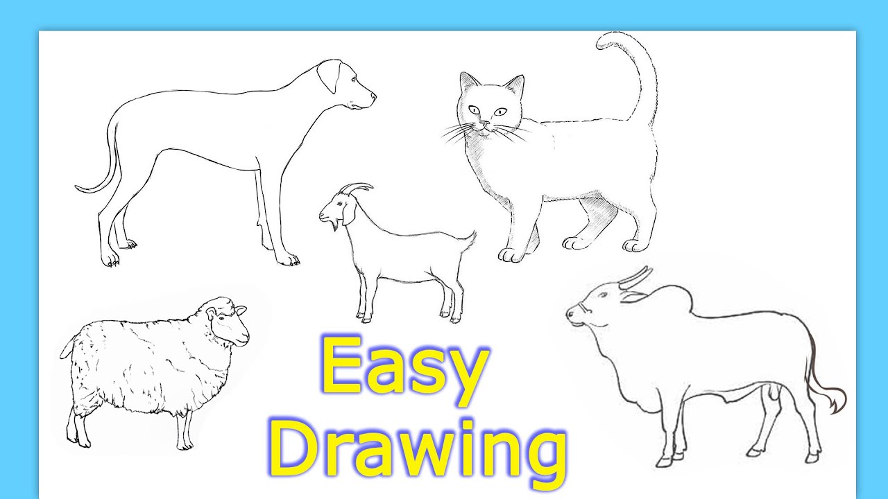 How To Draw Step By Step Animals Easy