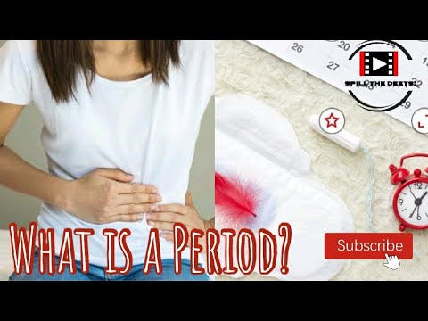 Periods explained | Tamil | Spill the Deets - YouTube