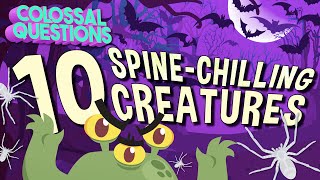 10 Spine-Chilling Creatures | COLOSSAL QUESTIONS