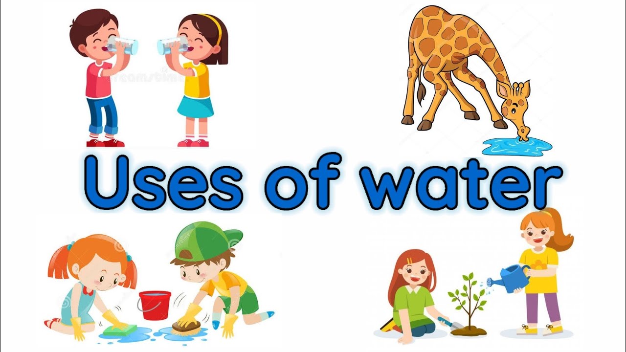 Uses Of Water Chart For Kids - Image to u