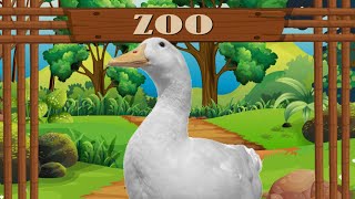 I took my duck to the Zoo