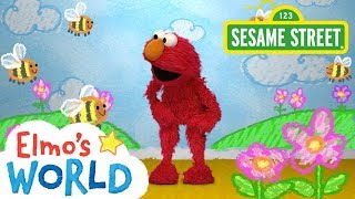 Sesame Street: Bees | Elmo's World