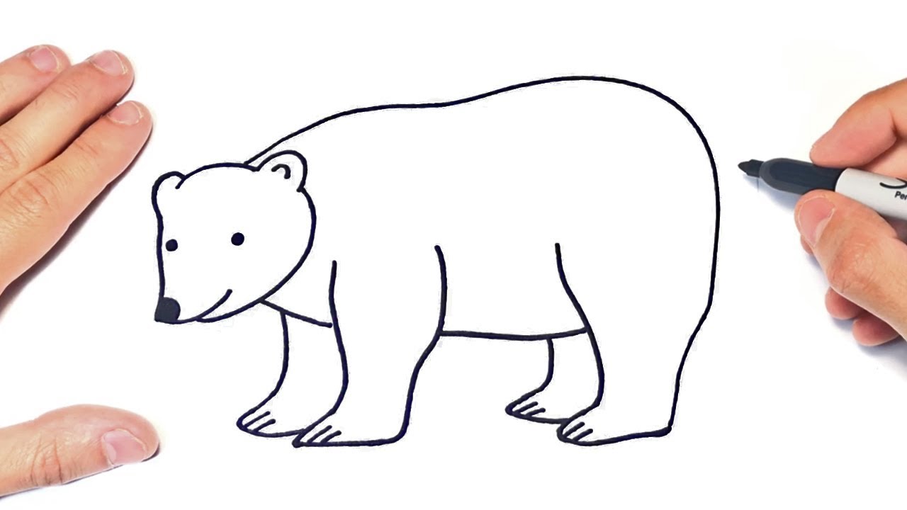 How To Draw A Polar Bear Step By Step Polar Bear Drawing Lesson