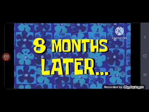 8 Months Later... - Spongebob Time Cards - YouTube