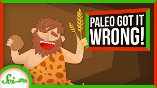 Paleo Got It Wrong: We've Loved Carbs for Over 100,000 Years | SciShow News