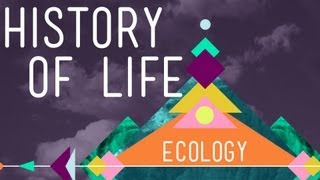 The History Of Life On Earth - Crash Course Ecology #1