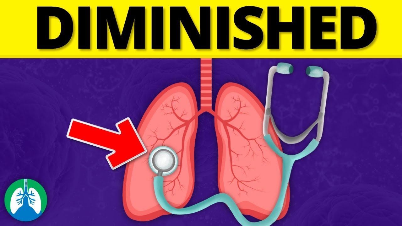 What causes diminished lung sounds - fetipros