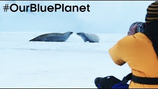 Filming On Thin Ice In Antarctica #OurBluePlanet - BBC Earth