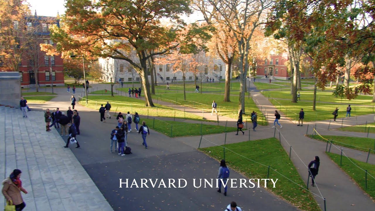 Take a student-led tour of Harvard University – Money Reference