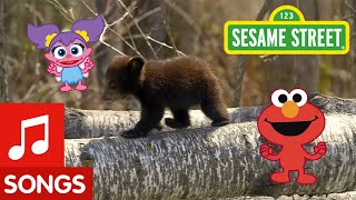 Sesame Street: Dance Like a Bear! | Animal Dance #4