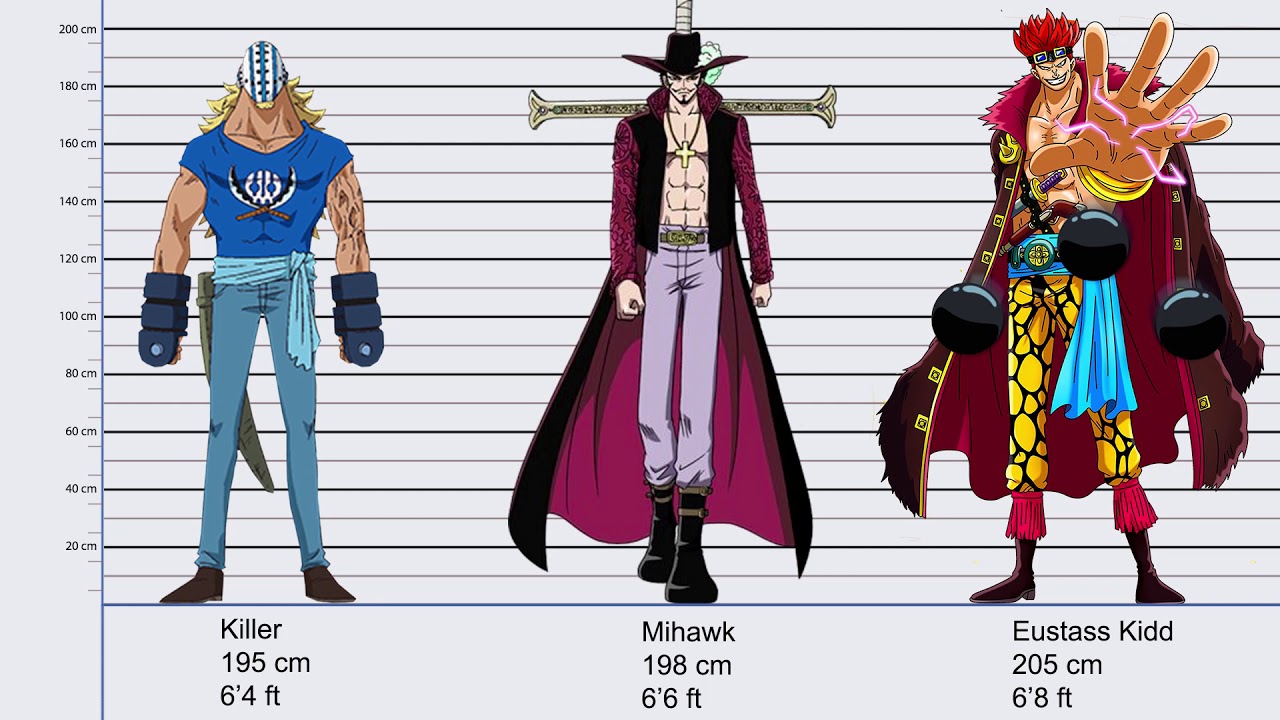 One Piece Height Chart