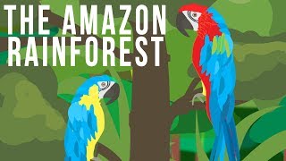 The Amazon Rainforest