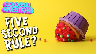 Is The 5 Second Rule Real? | COLOSSAL QUESTIONS