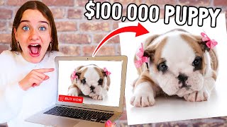 NO BUDGET $ ONLINE SHOPPING CHALLENGE w/Norris Nuts