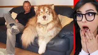 Animals You Won't Believe Exist