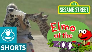 Sesame Street: Elmo Visits Baby Animals (Elmo At The Zoo #4)