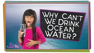 Why Can't We Drink the Ocean?