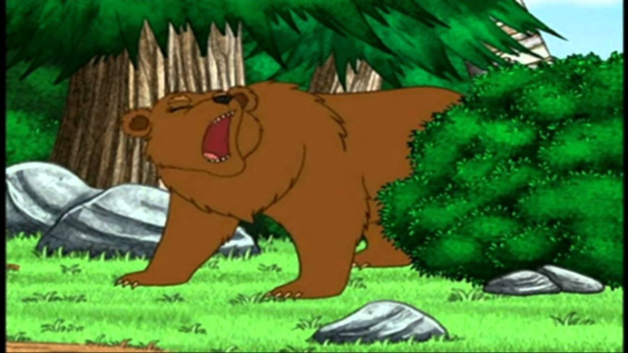 Go Diego Go Grizzly Bear