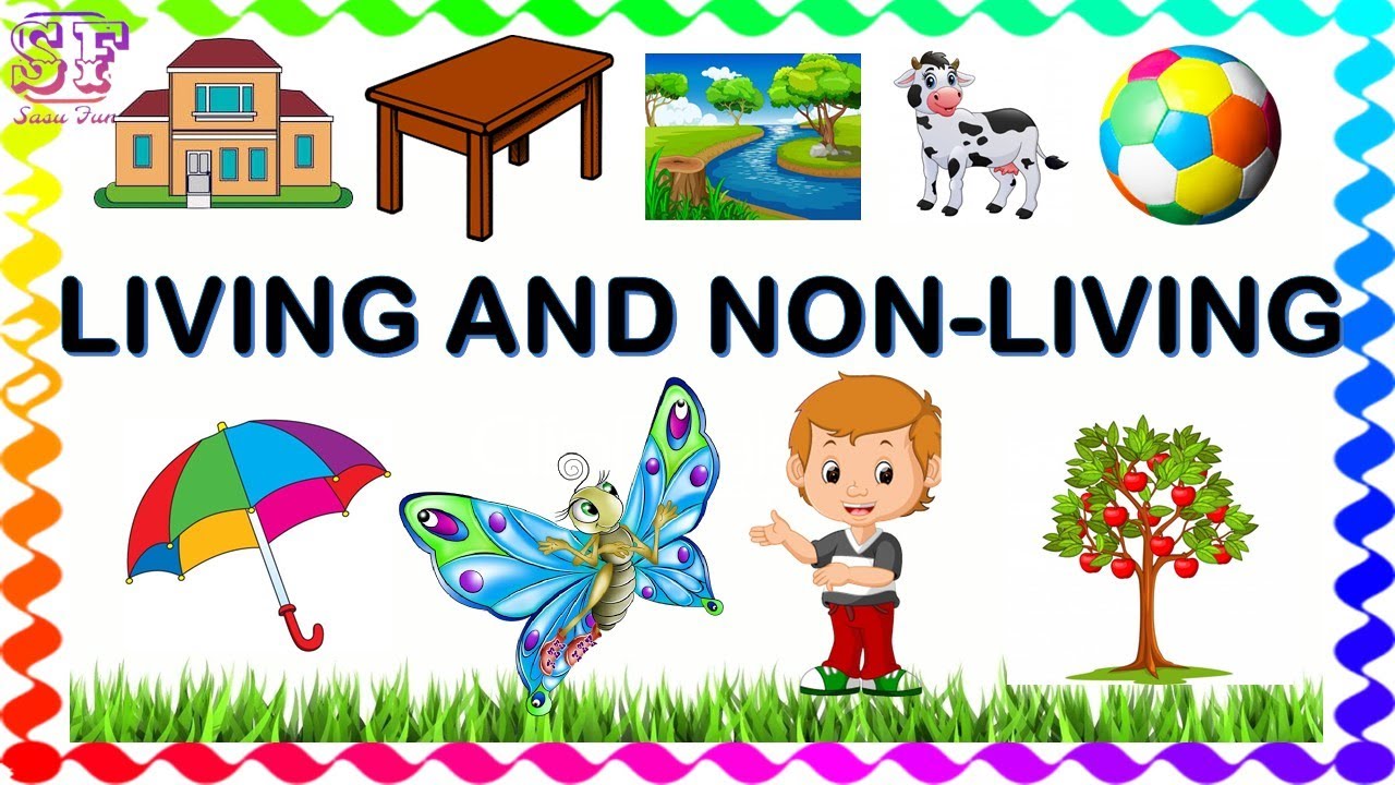 Living Things And Non Living Things Pdf