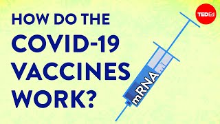 How the COVID-19 vaccines were created so quickly - Kaitlyn Sadtler and Elizabeth Wayne