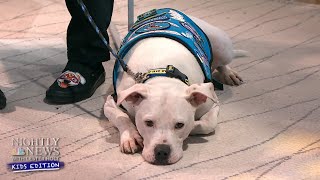 Meet The Therapy Dog Making A Difference By Being Different | Nightly News: Kids Edition