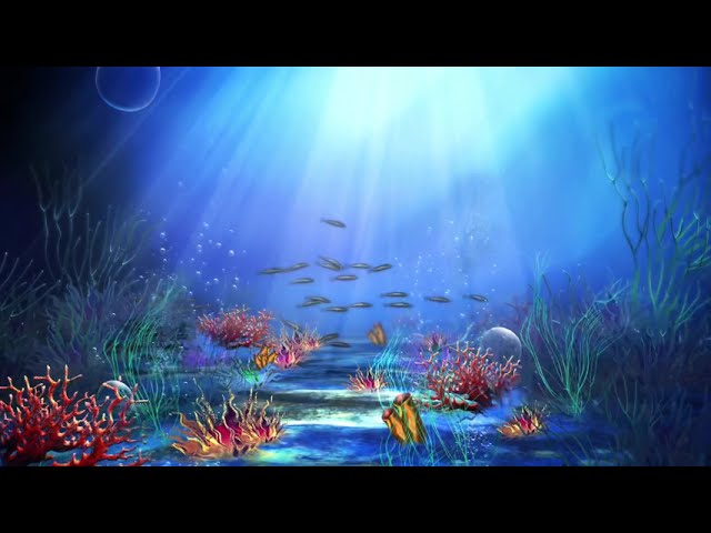 ?? Under the Sea Ocean Coral Reef Scene Animated VJ Loop Video Background  for Edits - YouTube