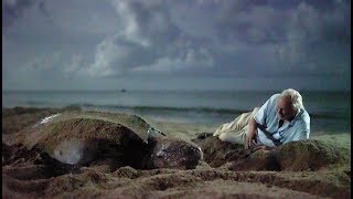 Saving Leatherback Turtles In Trinidad - Blue Planet II