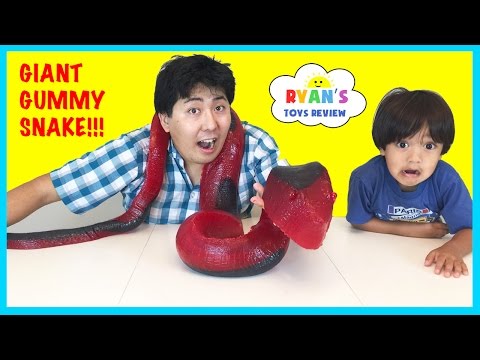 WORLD'S LARGEST GUMMY SNAKE CANDY CHALLENGE 26lb Giant Gummy Worm Python Ryan ToysReview