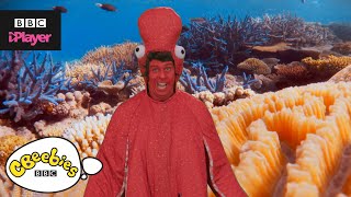 Andy's Aquatic Raps | Funky Octopus | CBeebies