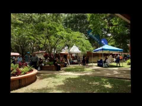 Festival de las Flores de Aibonito 2015 - YouTube