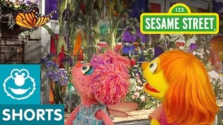 Sesame Street: Butterfly Flapping Fun | Julia & Abby Cadabby