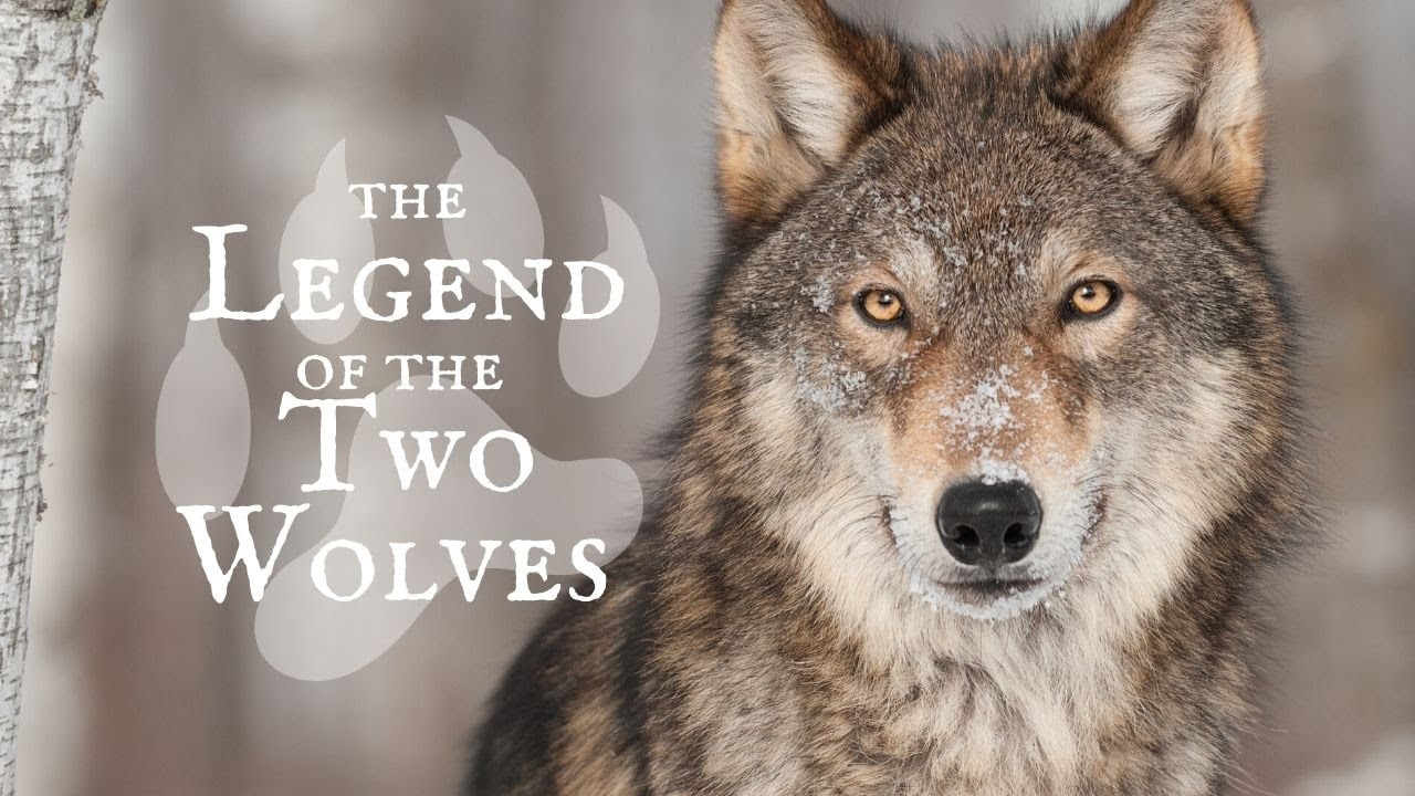 THE LEGEND OF THE TWO WOLVES || Native American Legend - YouTube